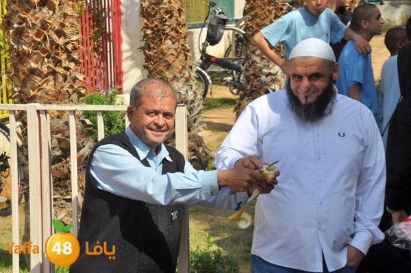 trees shamela 0321 (56).JPG